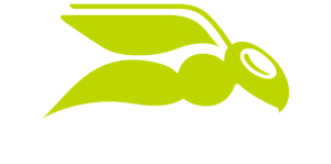 HornetSecurity