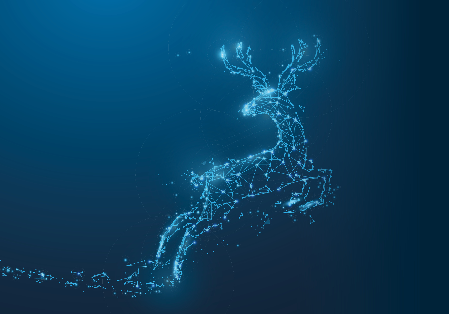 Weihnachten bei bluecue: Gemeinsam helfen, gemeinsam wirken