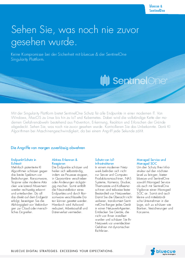 bluecueSentinelOne