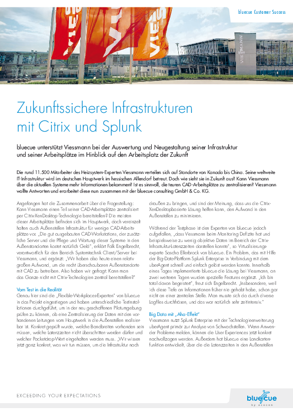 bluecue-Fallbeispiel-Viessmann